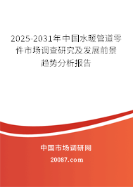 2025-2031年中國(guó)水暖管道零件市場(chǎng)調(diào)查研究及發(fā)展前景趨勢(shì)分析